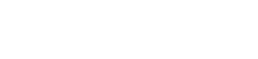Mountain Lion Aviation